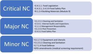 SQF Audit Findings